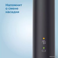 Комплект зубных щеток Philips Sonicare 3100 series HX3675/15