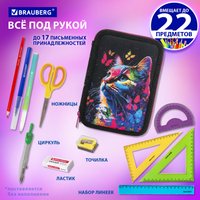 Пенал BRAUBERG 272330