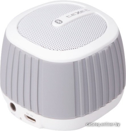 Беспроводная колонка TeXet TPA-2170 / BlueFun
