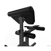 Силовая скамья Stonerise ThunderShape DCH201