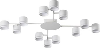 Припотолочная люстра Lumion Comfi Gareta 8235/12C