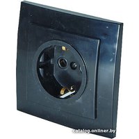 Розетка Элект RS16-133-Ч