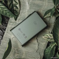 Hi-Fi плеер Shanling M3 Ultra (зеленый)