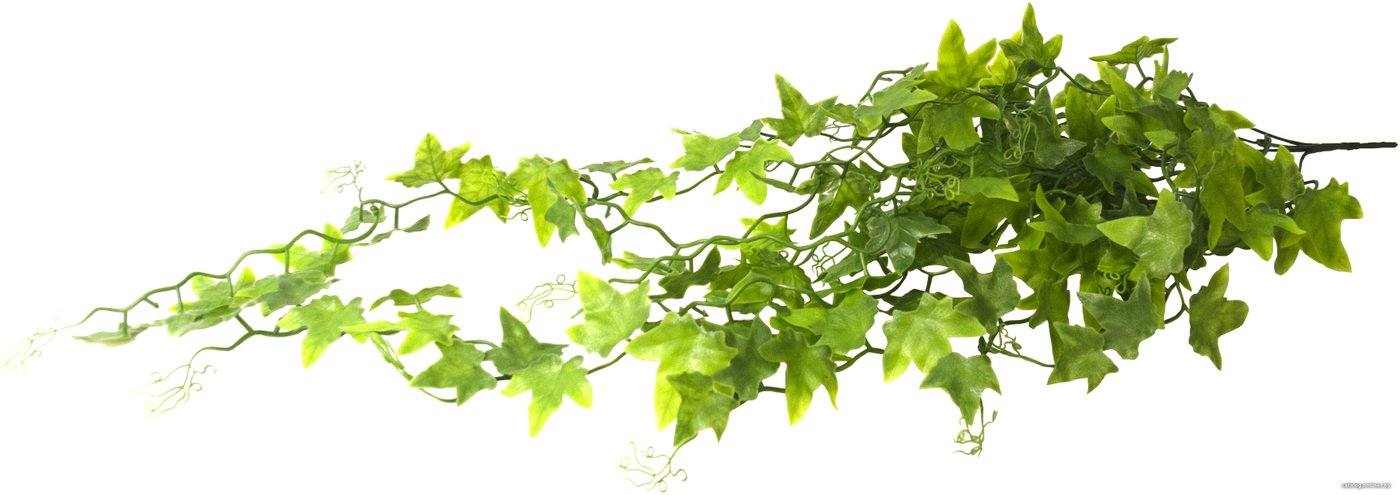 Искусственное растение Lucky Reptile Ivy Bush LP-62