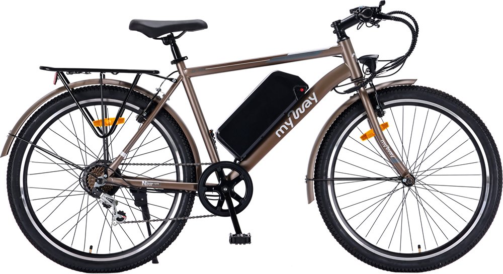 

Электровелосипед MyWay Let 1.0 250 26 Pro (титан матовый)