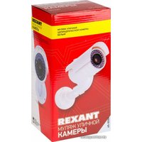 IP-камера Rexant 45-0240