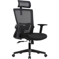 Офисное кресло Evolution ErgoLine 1 (черный)