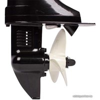 Лодочный мотор Toyama T5ABMS