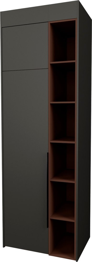 

Шкаф распашной Рэйгрупп Рэй S257-B1-WKL В1 (дуб веллингтон/кобальт/античная латунь)