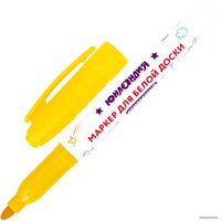 Набор маркеров Юнландия Colorway 152100 (10 шт)