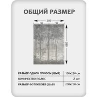 Фотообои Mio Tesoro Dark Side 34 (200x260)