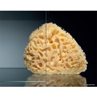 Душевой уголок AcquaSi AS-Space-R-2-80-C-Cr