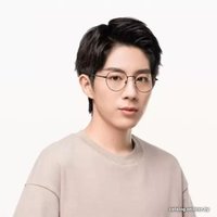 Компьютерные очки Xiaomi Mijia Anti-Blue Light Glasses HMJ02RM (черный)