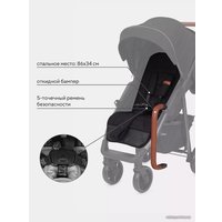 Коляска прогулочная «книга» Rant Vega 2023 RA057 (black)