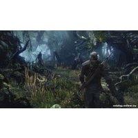 Компьютерная игра PC Ведьмак 3: Дикая Охота
