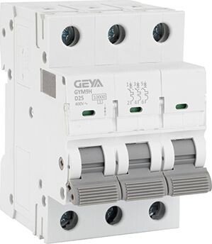 

Выключатель автоматический GEYA GYM9H-3P-25D 3P 25A D 10kA 3M GYM9H3P25D