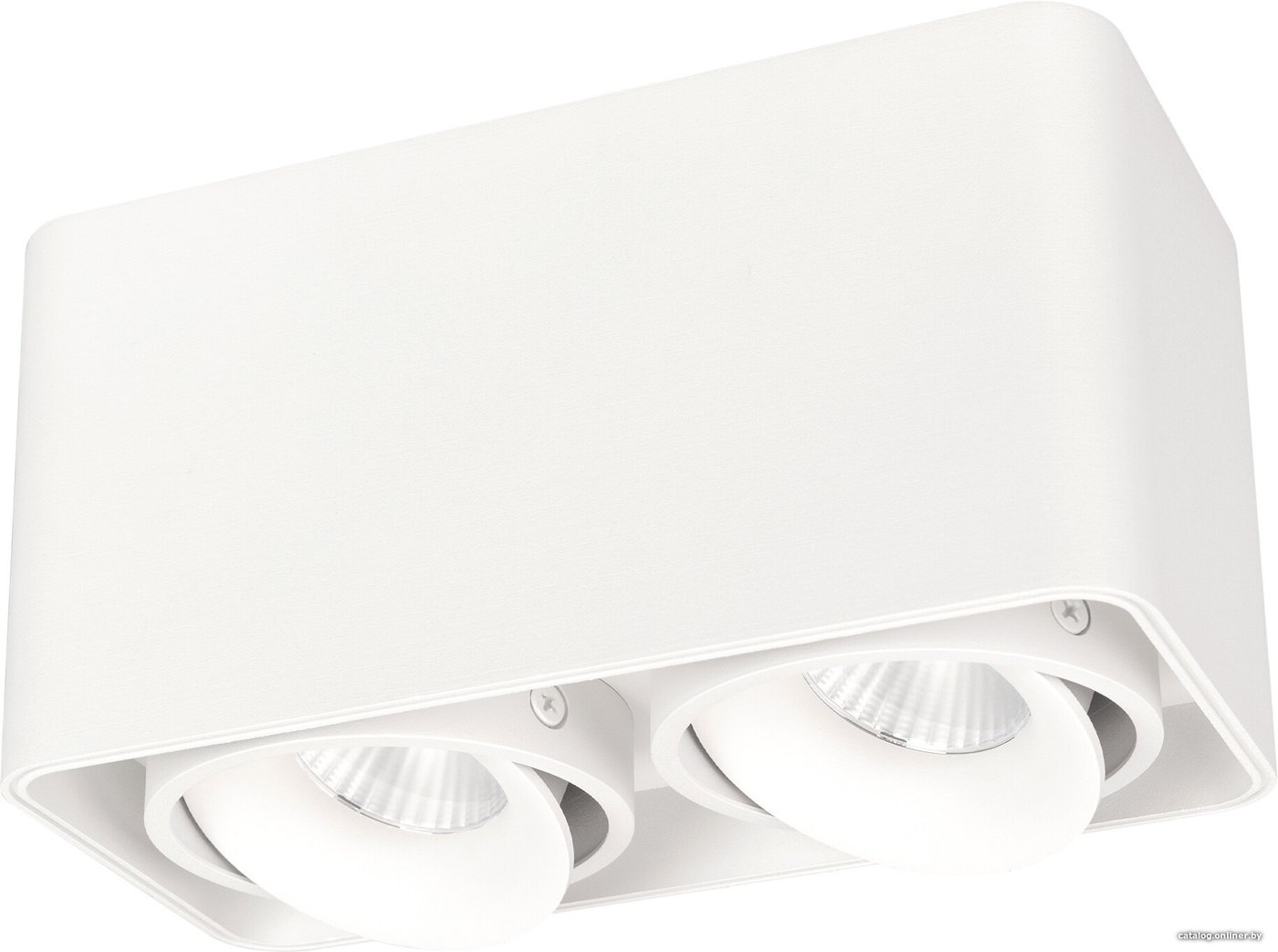 Точечный светильник Arlight SP-CUBUS-S195x100-2x8W 036059