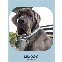 Ошейник Seadog Marine Mood S