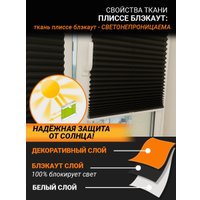 Плиссе Delfa Crep BLO СПШ-36205 (48x160, черный)