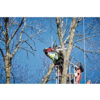 Аккумуляторная пила Milwaukee M18 FCHS-121B Fuel 4933464223 (с 1-им АКБ)