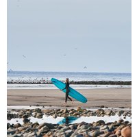 Умные часы Garmin Instinct 2S Solar Surf Edition (белый)