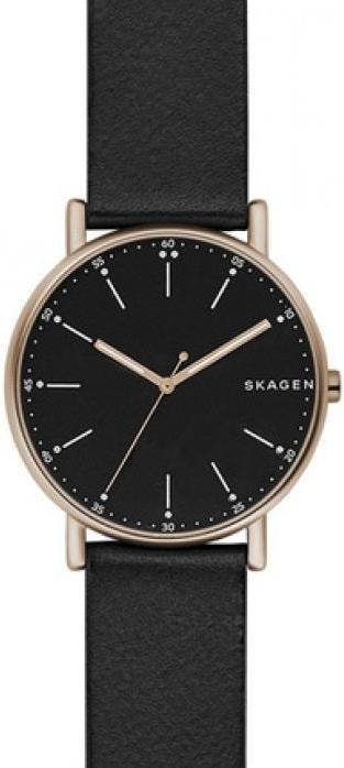 

Наручные часы Skagen SKW6401