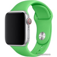 Ремешок Miru SJ-01 для Apple Watch (зеленый)