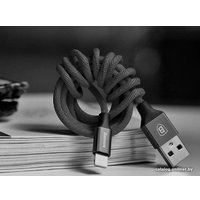 Кабель Baseus CALYW-A01