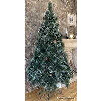 Сосна Чан Х Пушистая с инеем 0.6 м