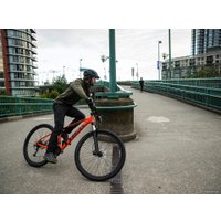 Велосипед Trek Marlin 5 29 L 2020 (черный)