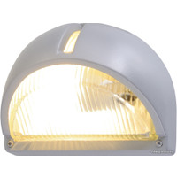 Уличный настенный светильник Arte Lamp Urban A2801AL-1GY