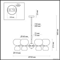 Подвесная люстра Odeon Light Changi 4979/12