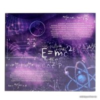 Головоломка Puzzle Загадки Эйнштейна Металлическая 2528228 (4 шт)