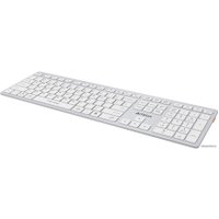 Клавиатура A4Tech Fstyler FBX50C (серебристый/белый)