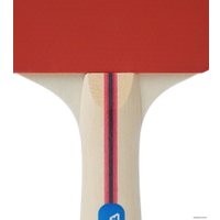 Ракетка для настольного тенниса TORNEO Hobby TI-B200