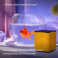 Умная колонка Яндекс Станция Миди (оранжевый)