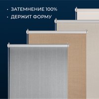 Рулонные шторы Franc Gardiner Blackout Dublin 55x160 6530338 (бежевый)