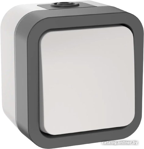 Выключатель IEK Tors TS-V14-0-10-55-K41