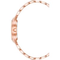 Наручные часы Anne Klein 4060RGRG