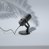 Проводной микрофон Haylou GX1