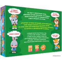 Настольная игра doJoy Страсти-мордасти. Терапевтические сказки DJ-BG17