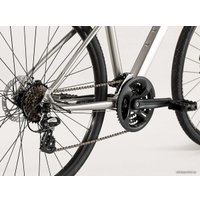 Велосипед Trek Dual Sport 1 (серебристый, 2019)