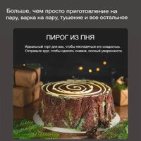 Рисоварка Xiaomi Mijia Induction Heating Rice Cooker 2 4L MFB2BM (с переходником на евровилку)