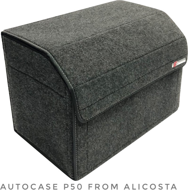 

Органайзер автомобильный Alicosta P50 (серый)