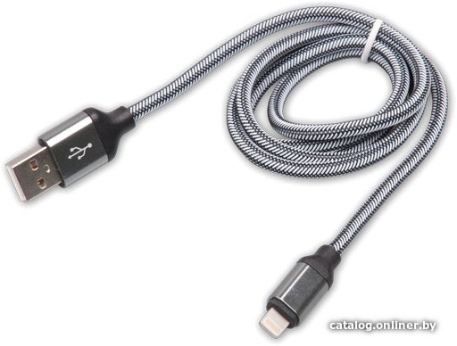 Кабель Ritmix RCC-421