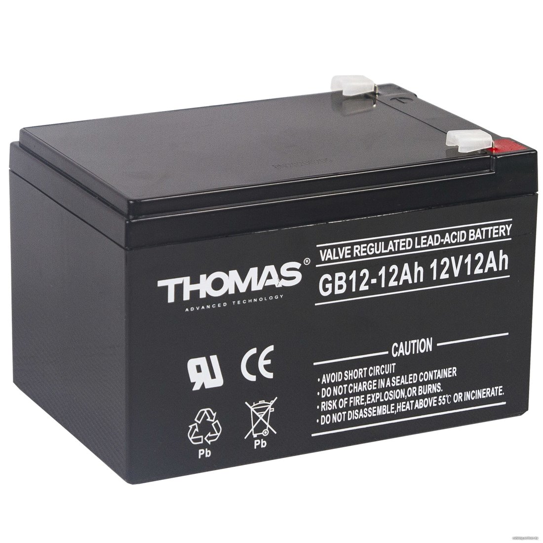 Аккумулятор для ИБП Thomas GB 12-12 Ah 12V12Ah