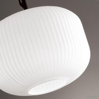 Подвесная люстра Odeon Light Roofi 4754/1