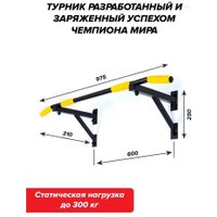 Турник Absolute Champion Aktiv АЧ 8545 (черный, желтые ручки)