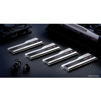 Оперативная память G.Skill Trident Z5 RGB 2x32ГБ DDR5 6000МГц F5-6000J3040G32GX2-TZ5RW