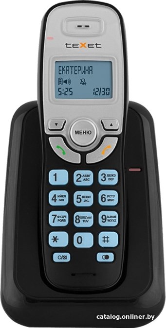 Радиотелефон TeXet TX-D6905A (черный)